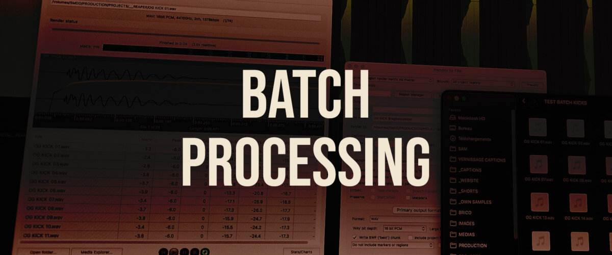 Batch Processing — Mango Dragon Studio, Geneva